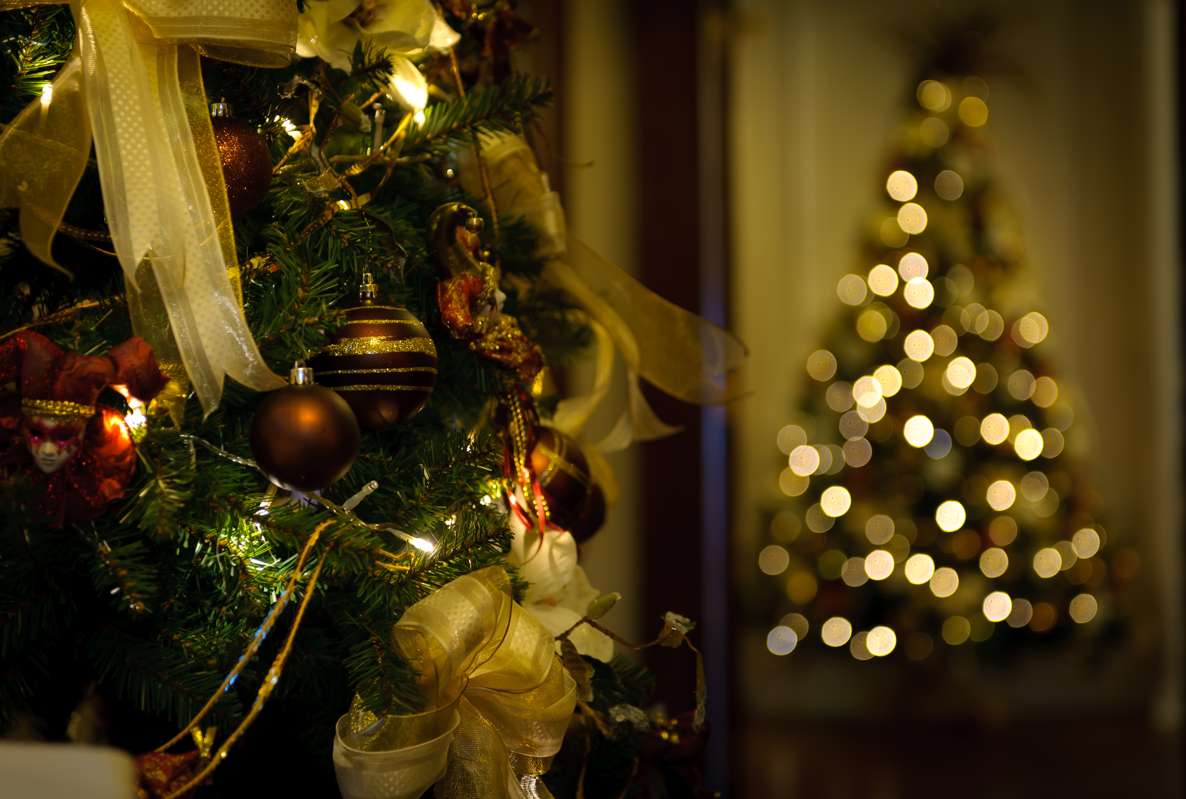 Christmas trees at West Tower